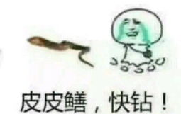 三个小姐姐喝醉了表情包,三位小姐姐的欢乐表情包大集合