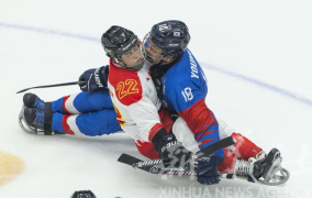 冰球写真,冰球写真中的激情瞬间