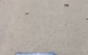 小姐姐水机,引领健康生活新潮流