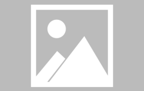 网红饭包,美食界的明星，带你领略舌尖上的潮流